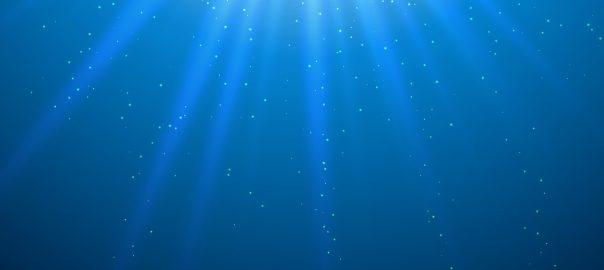 Portaltage Licht Energieströme